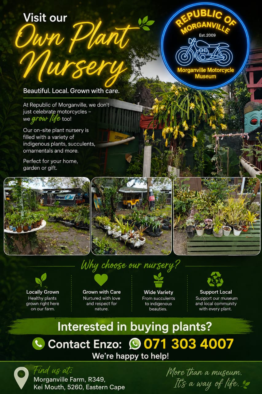 Morganville nursery